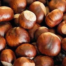 Fresh Chestnut